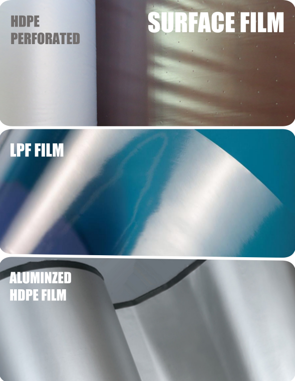 LPF film